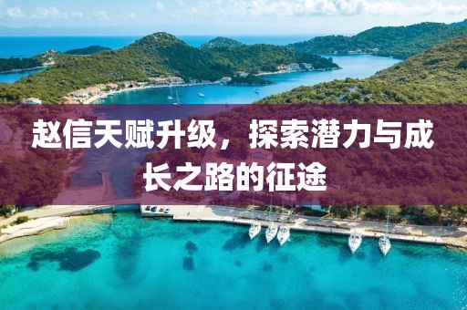 赵信天赋升级，探索潜力与成长之路的征途