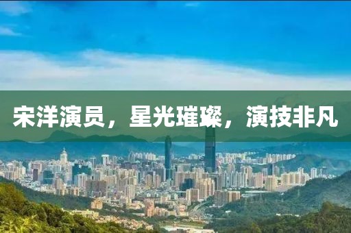 宋洋演员，星光璀璨，演技非凡