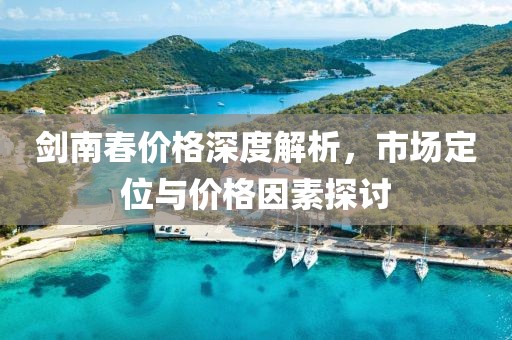 剑南春价格深度解析，市场定位与价格因素探讨