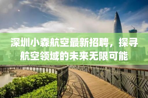深圳小森航空最新招聘，探寻航空领域的未来无限可能