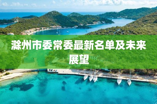 滁州市委常委最新名单及未来展望