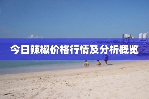 今日辣椒价格行情及分析概览