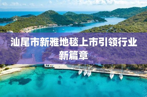 汕尾市新雅地毯上市引领行业新篇章