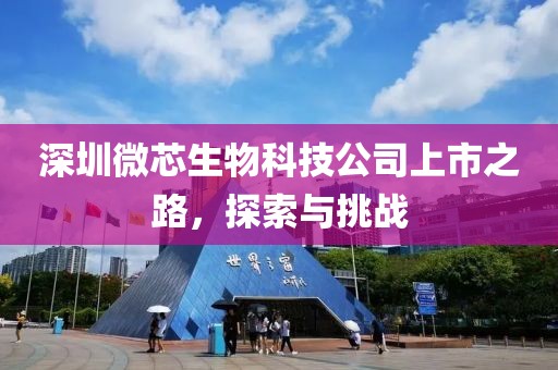 深圳微芯生物科技公司上市之路，探索与挑战
