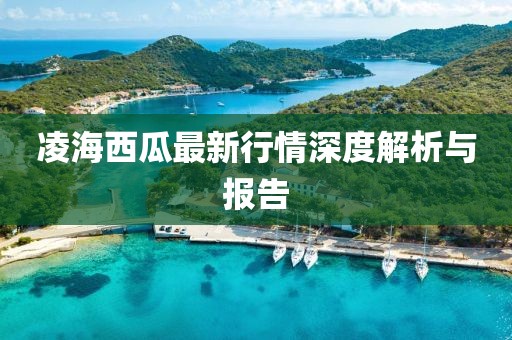凌海西瓜最新行情深度解析与报告