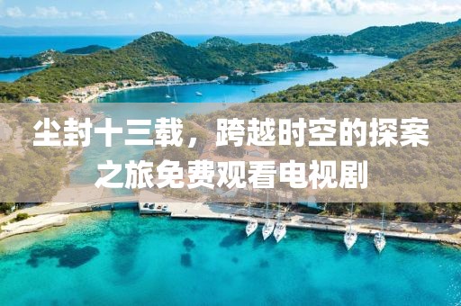 尘封十三载，跨越时空的探案之旅免费观看电视剧
