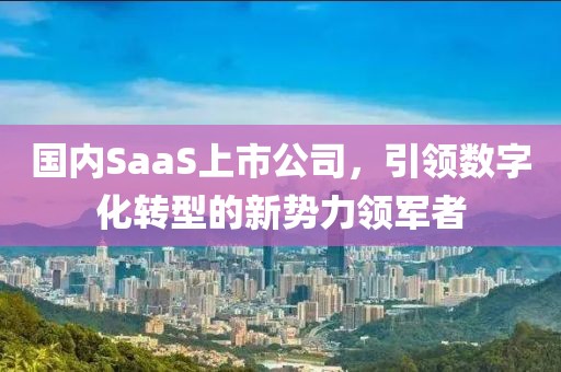 国内SaaS上市公司，引领数字化转型的新势力领军者
