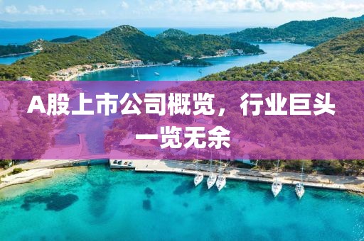 A股上市公司概览，行业巨头一览无余