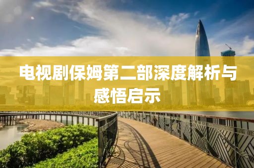 电视剧保姆第二部深度解析与感悟启示