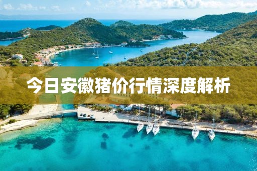 今日安徽猪价行情深度解析
