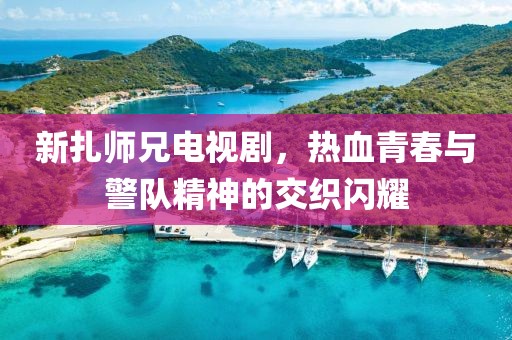 新扎师兄电视剧，热血青春与警队精神的交织闪耀
