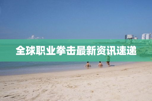 全球职业拳击最新资讯速递