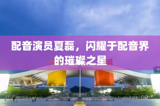 配音演员夏磊，闪耀于配音界的璀璨之星