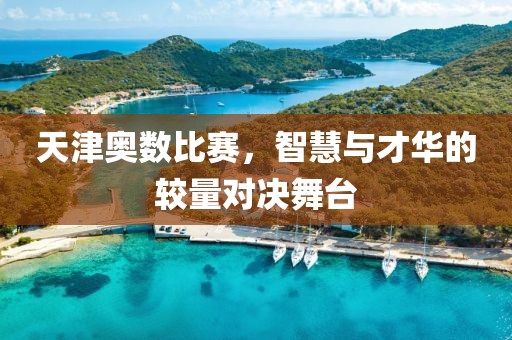 天津奥数比赛，智慧与才华的较量对决舞台