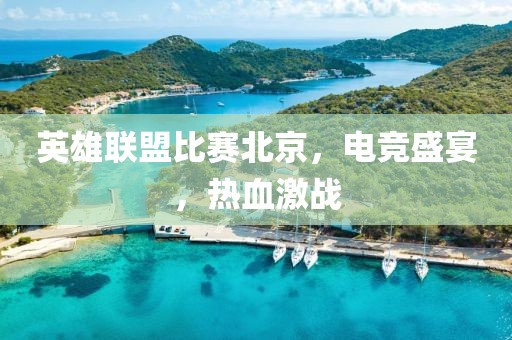 英雄联盟比赛北京，电竞盛宴，热血激战