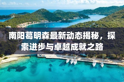南阳葛明森最新动态揭秘，探索进步与卓越成就之路