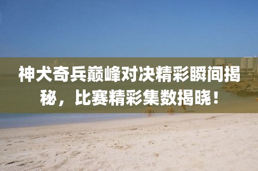 神犬奇兵巅峰对决精彩瞬间揭秘，比赛精彩集数揭晓！