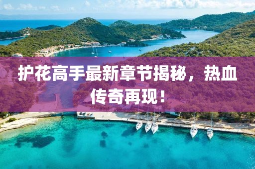 护花高手最新章节揭秘，热血传奇再现！