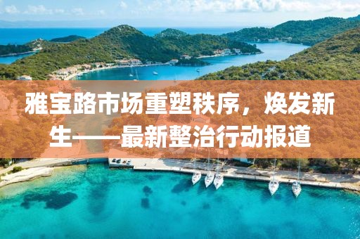 雅宝路市场重塑秩序，焕发新生——最新整治行动报道