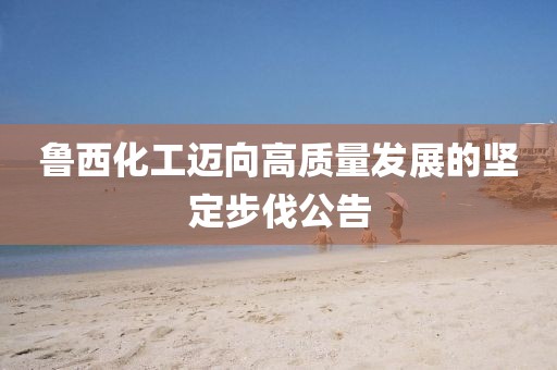 鲁西化工迈向高质量发展的坚定步伐公告