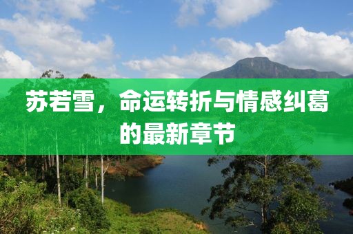 苏若雪，命运转折与情感纠葛的最新章节