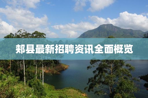 将回忆 第17页