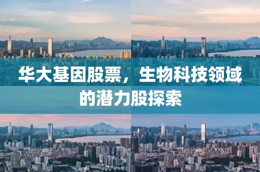 华大基因股票，生物科技领域的潜力股探索