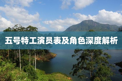 五号特工演员表及角色深度解析