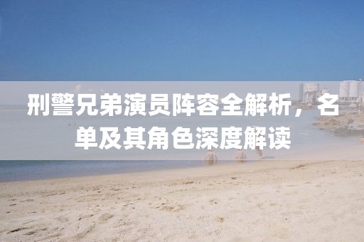 刑警兄弟演员阵容全解析，名单及其角色深度解读