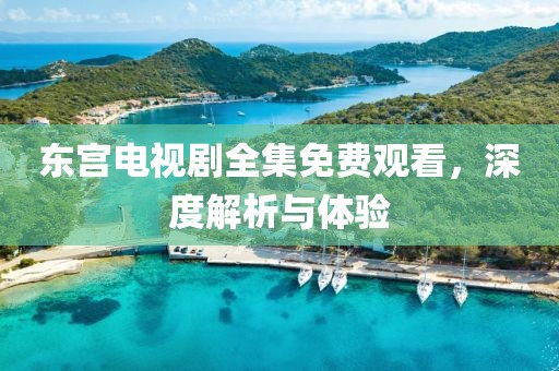 东宫电视剧全集免费观看，深度解析与体验