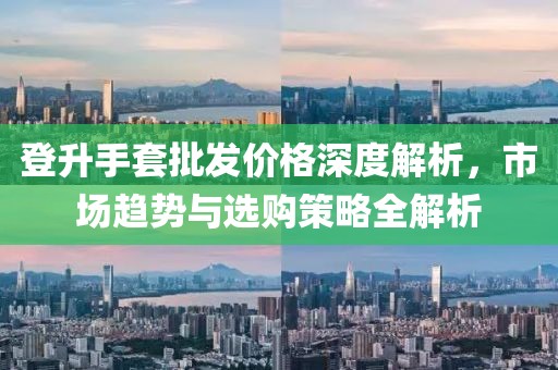 登升手套批发价格深度解析，市场趋势与选购策略全解析