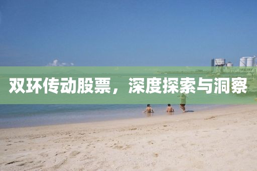 双环传动股票，深度探索与洞察