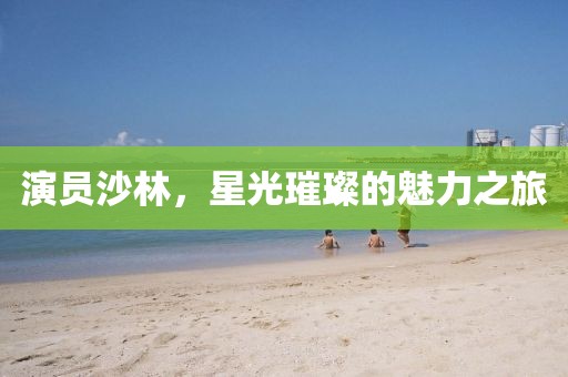演员沙林，星光璀璨的魅力之旅