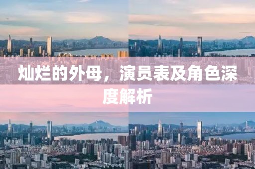 灿烂的外母，演员表及角色深度解析