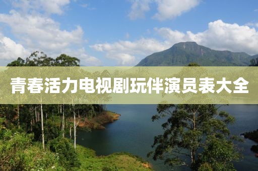 青春活力电视剧玩伴演员表大全