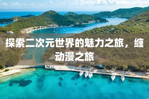探索二次元世界的魅力之旅，缠动漫之旅