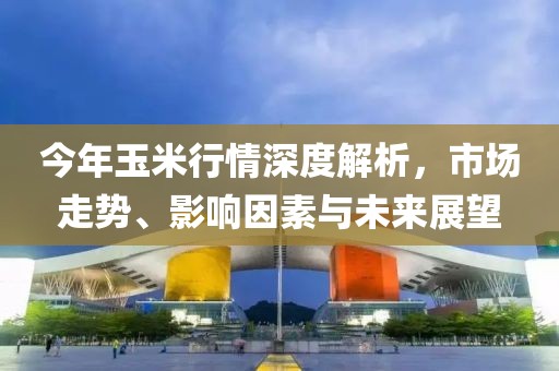 今年玉米行情深度解析，市场走势、影响因素与未来展望