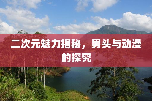 二次元魅力揭秘，男头与动漫的探究