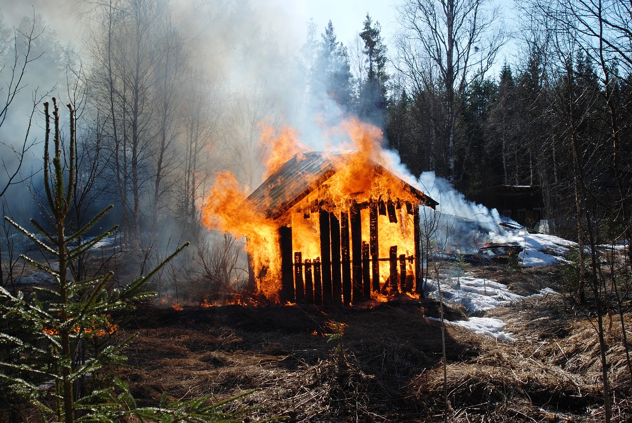 杭州保姆纵火事件最新进展深度解析与报道