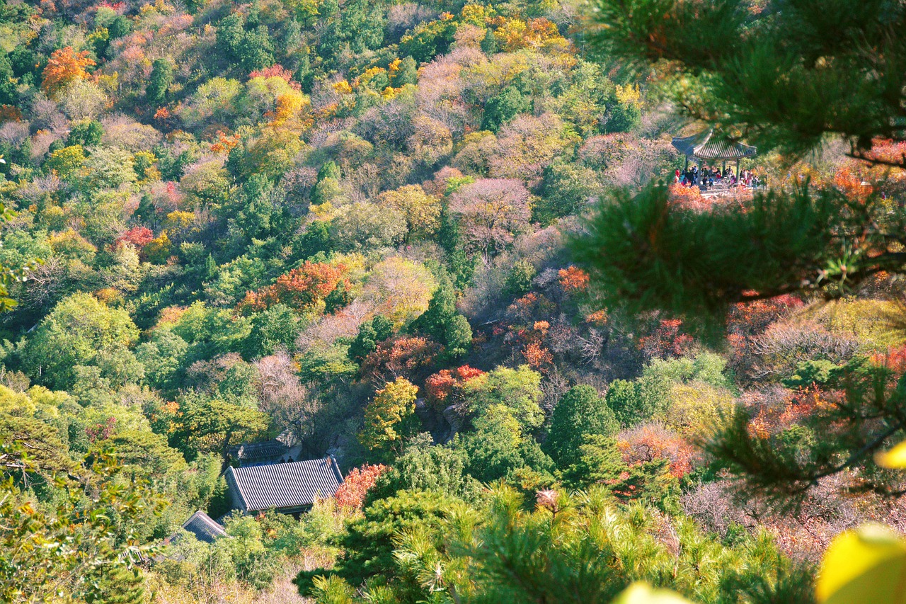 天池山风景区门票价格详解及攻略