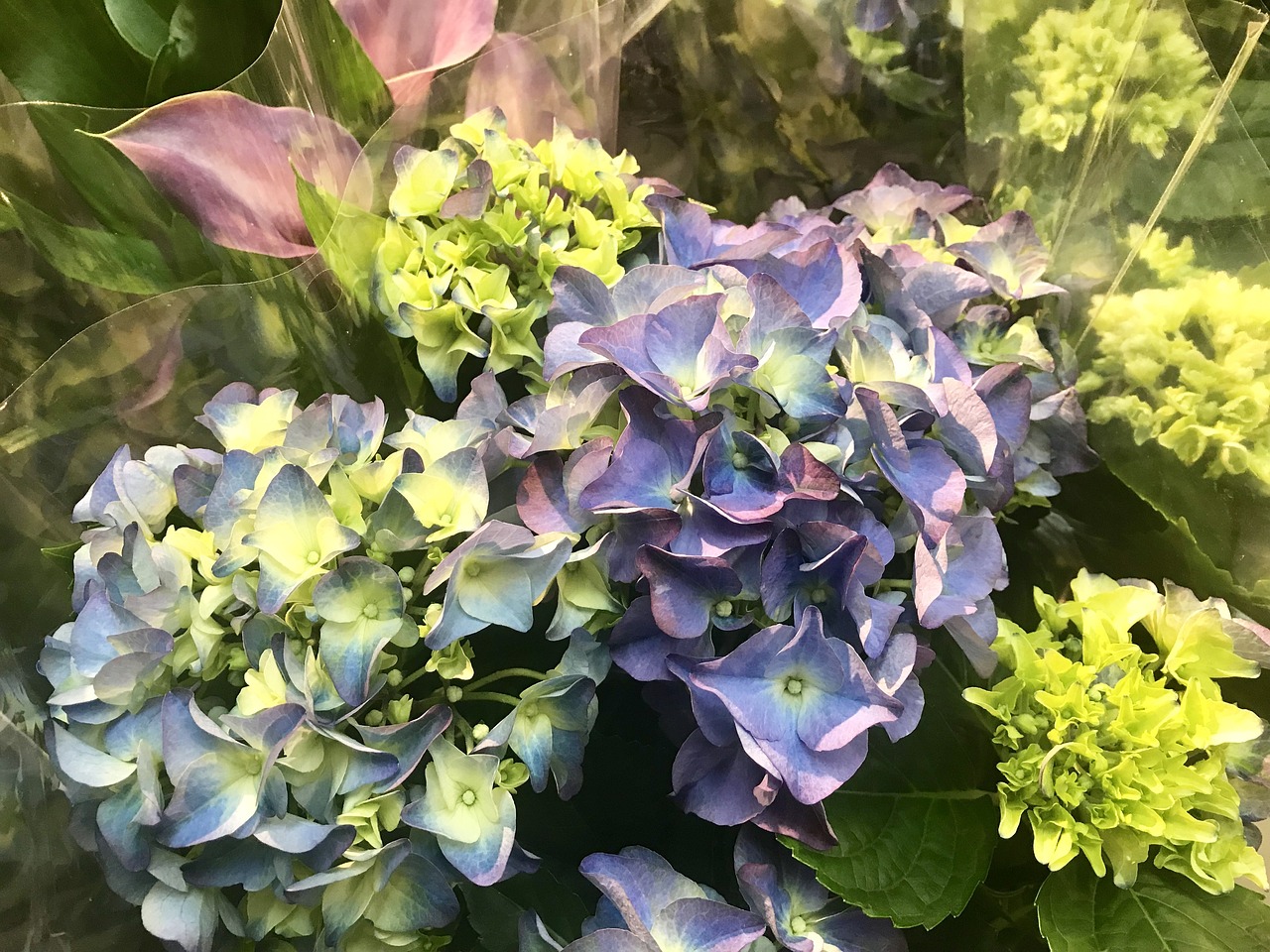 最新春色派，探索自然之美的无限魅力