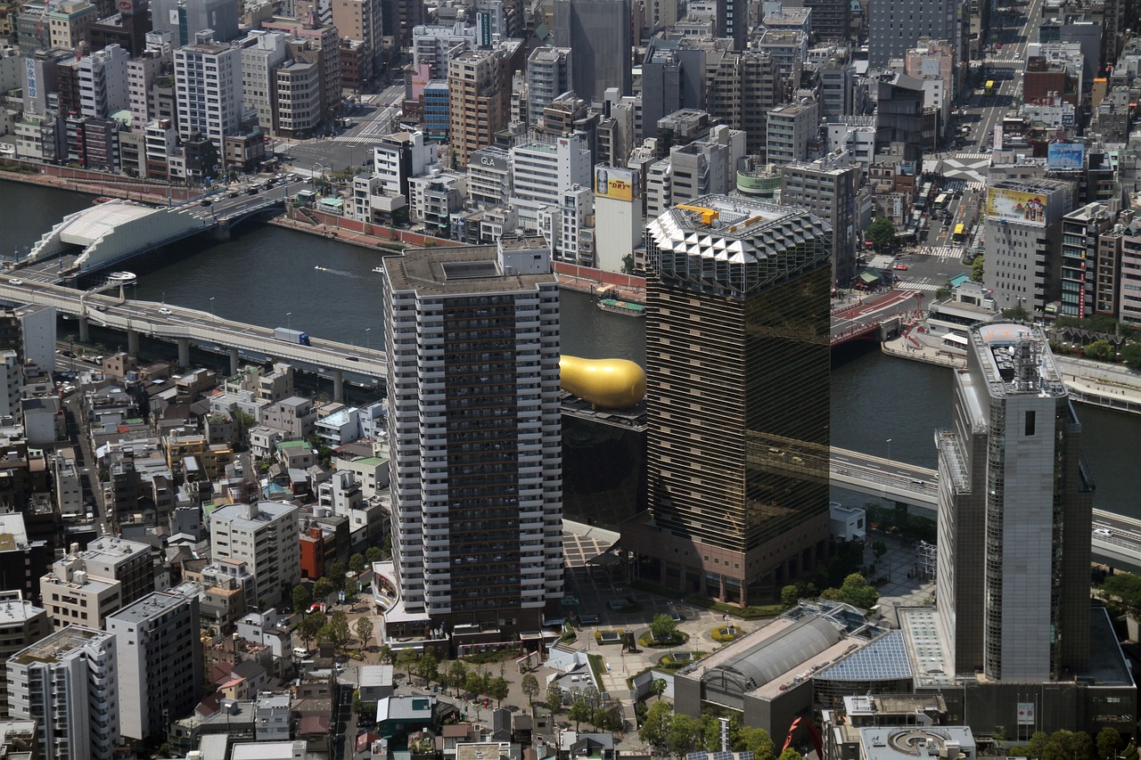 2025年1月 第566页