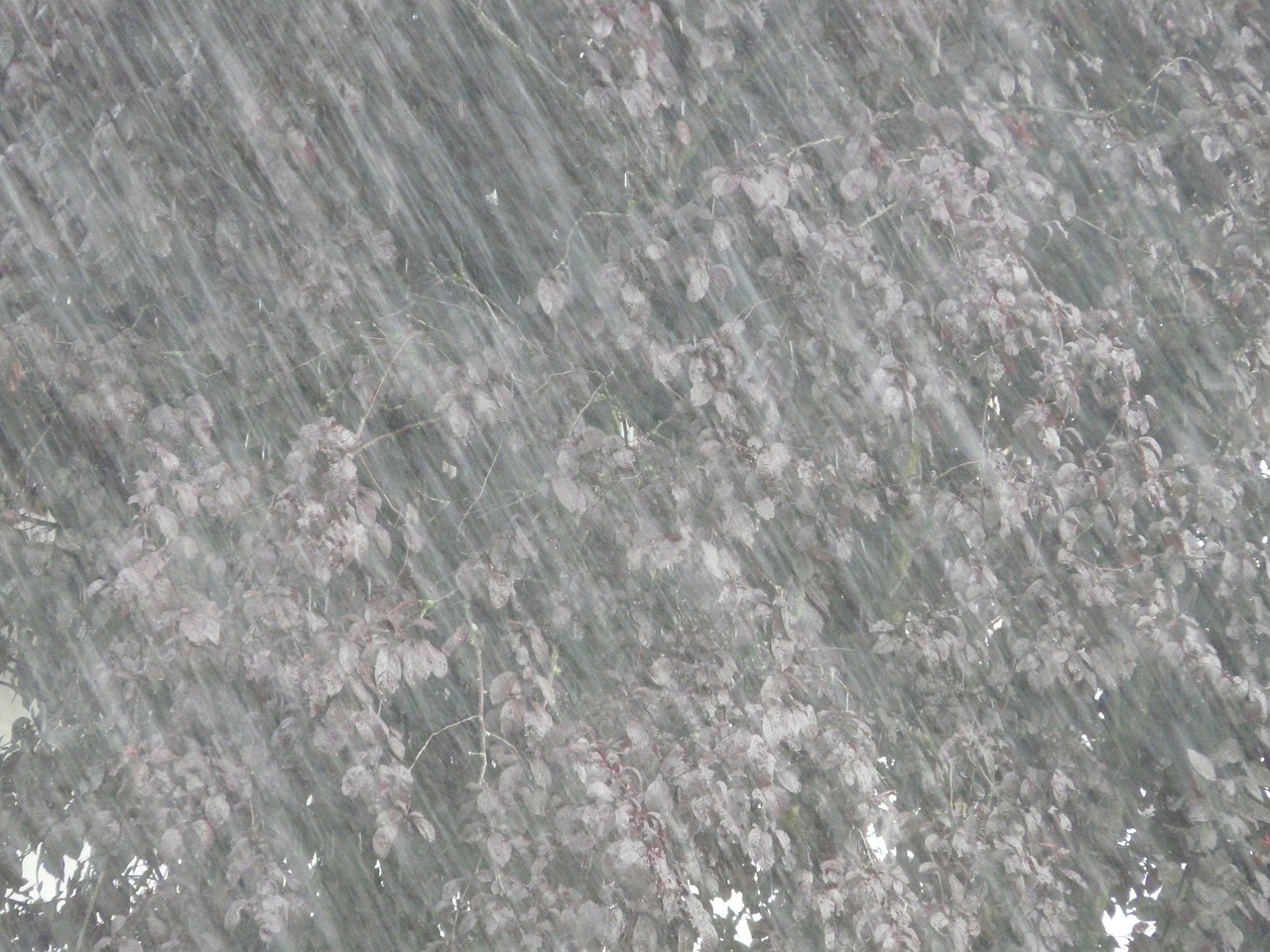 河北暴雨最新动态，紧急应对与救援进展持续更新