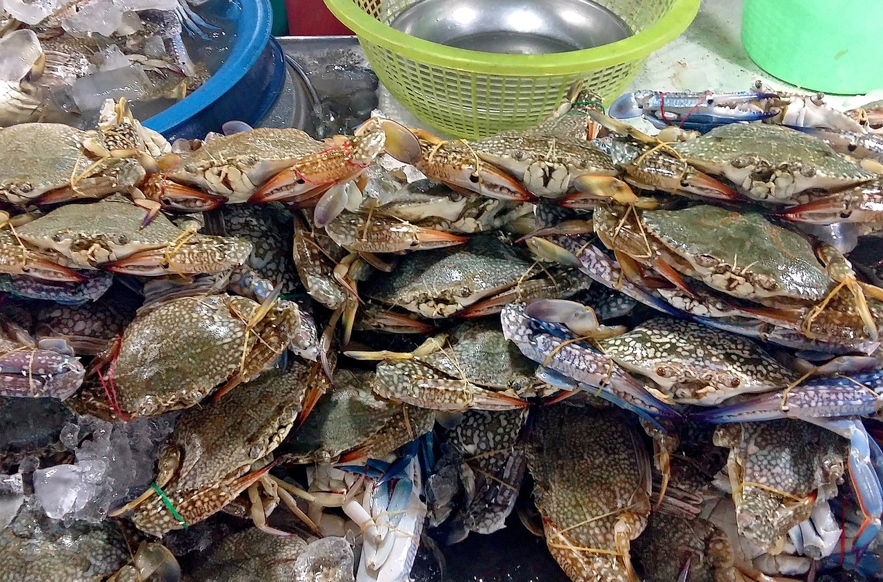 延吉水上市场地址，美食与文化交汇的美食天堂探寻之旅