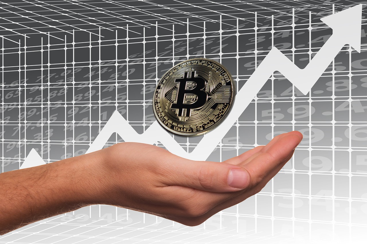 养鸭业盈利深度解析，最新趋势与成功案例分享