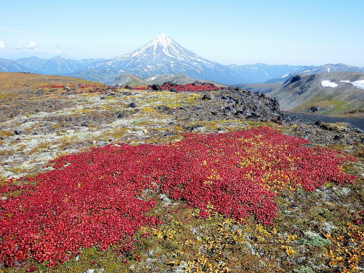 最新农村路边风景图片，自然之美的绽放展现乡村魅力