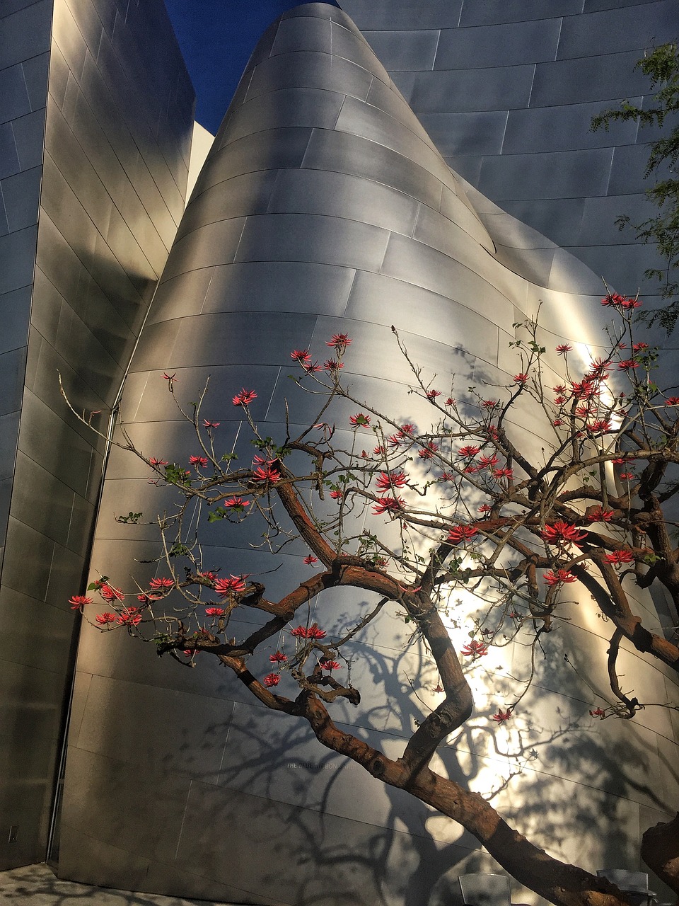 合肥高亮路最新动态，城市发展的脉搏与未来展望展望