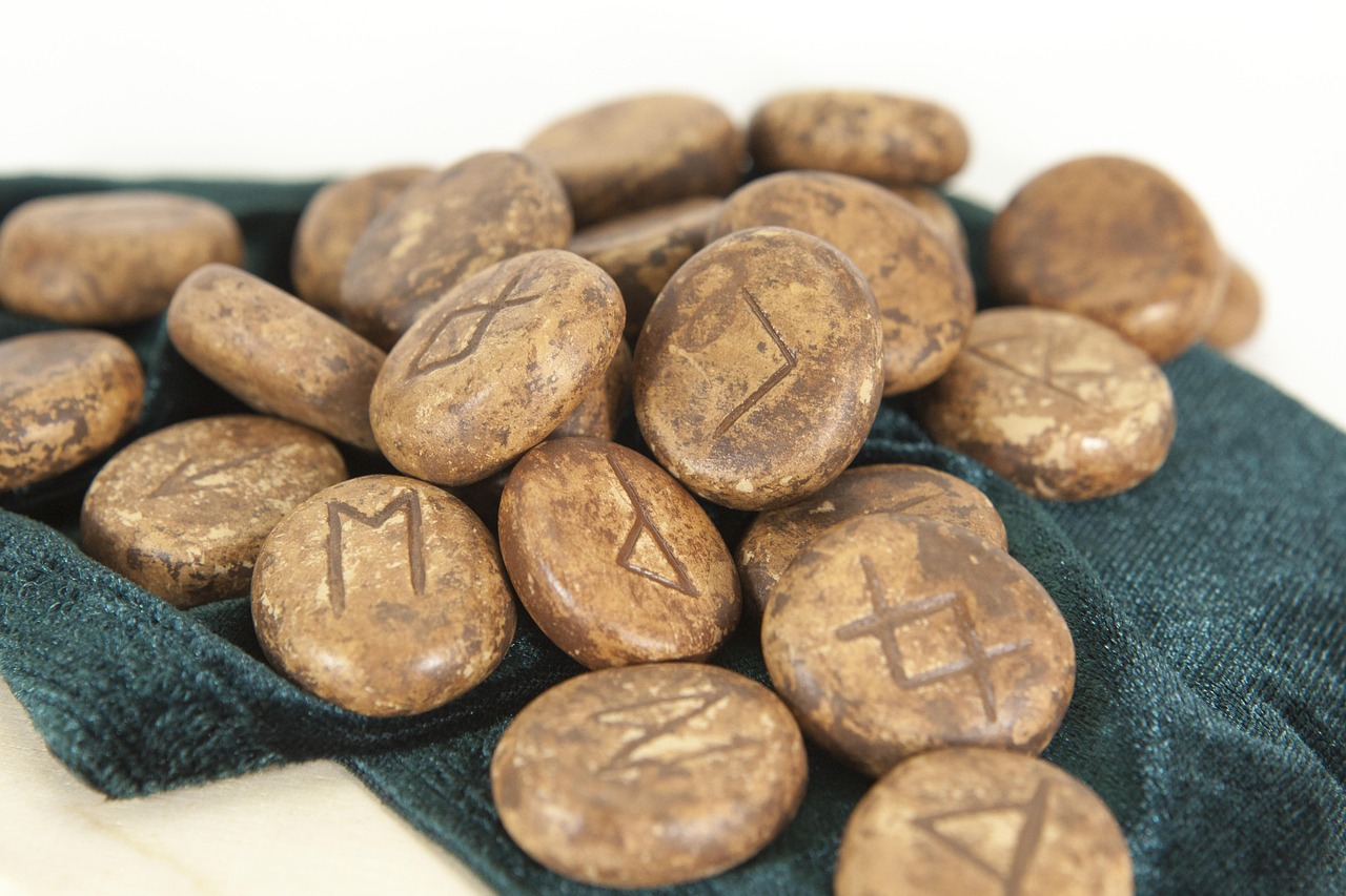 梅花参价格解析，一斤多少钱？