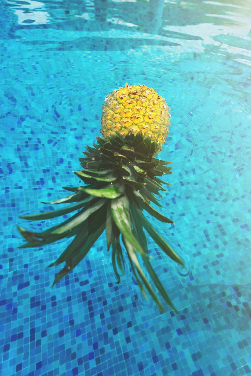 热带水果之王菠萝的魅力与活力，新鲜菠萝动态展示