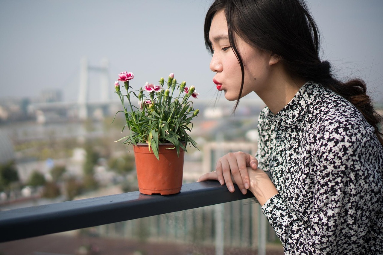 女演员与猪的跨界邂逅